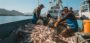 Fermo pesca, Fedagripesca: “Soddisfazione per elementi innovativi, occorre ora organismo di monitoraggio per migliore gestione flessibilità”